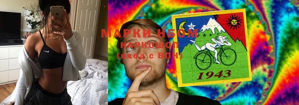 хмурый Горняк
