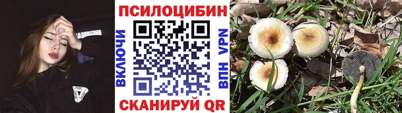 Купить  Ермолино  Псилоцибиновые грибы прущие грибы 